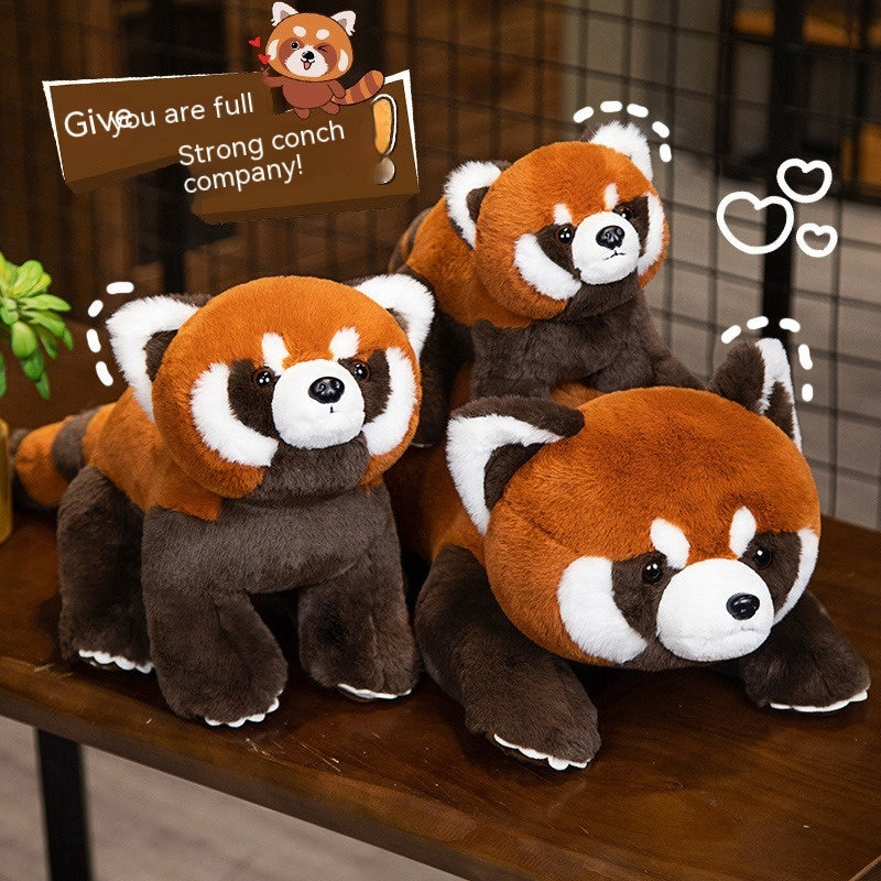 Coati Doll Plush Toys Cute - Cindi Book
