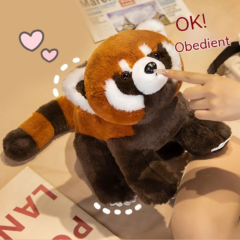 Coati Doll Plush Toys Cute - Cindi Book