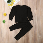 Newborn Baby Boys Girls Ruffles Jumper Solid Long Sleeve Sweatshirt Tops Pants Infant Kids 2Pcs Outfits Clothes Set Fall Clothes - Cindi Book