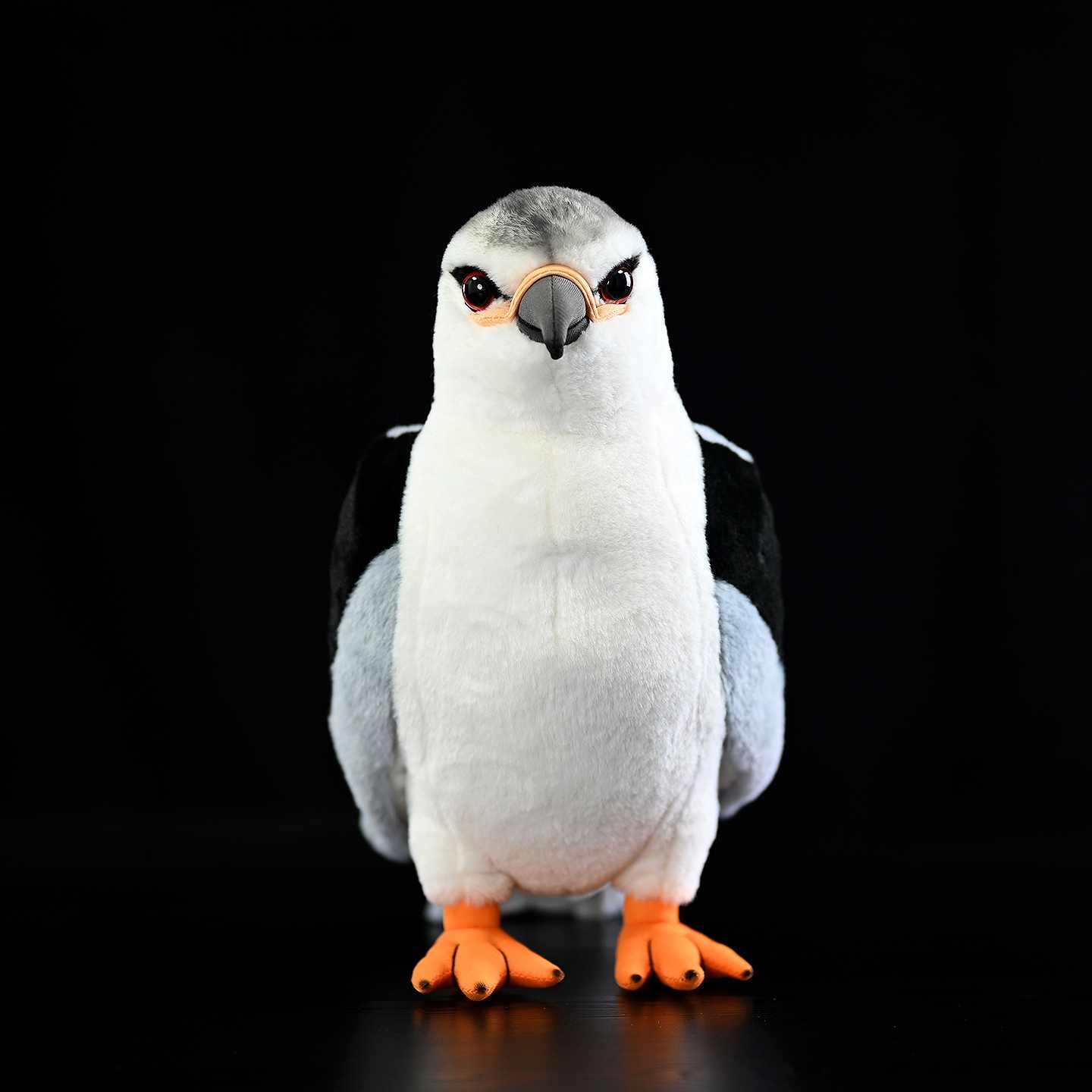 Black-winged Kite Plush Doll - Cindi Book