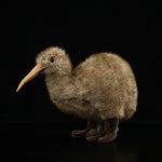 Kiwi Plush Toy New Zealand Juwei Doll - Cindi Book
