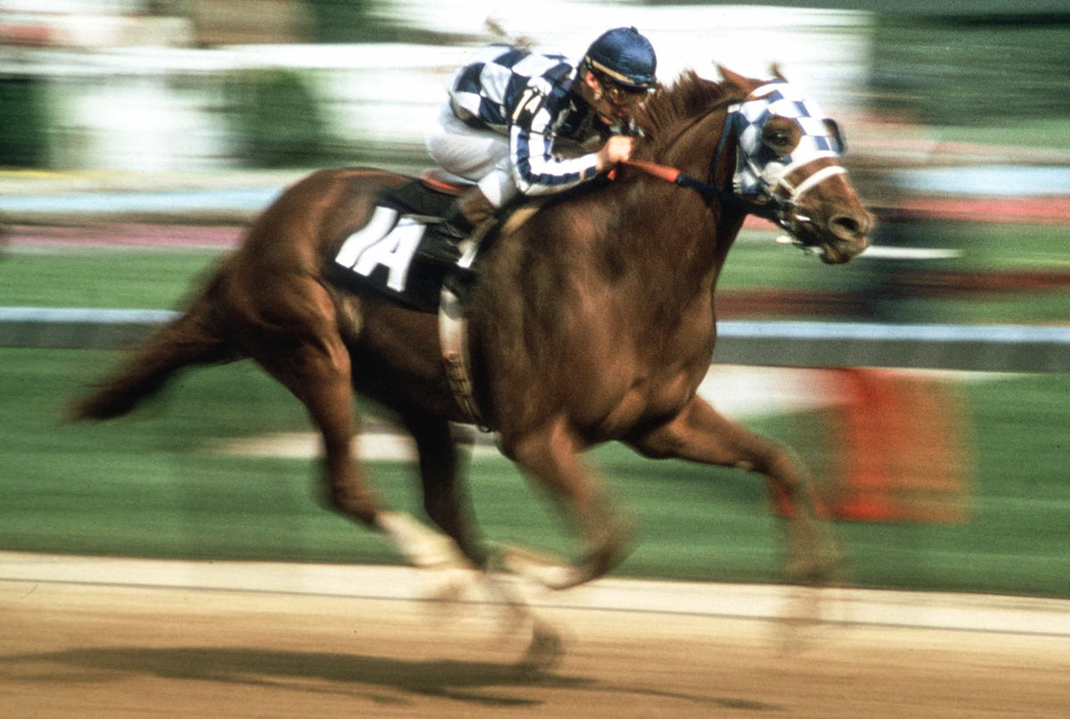 150 Years of the Kentucky Derby - BACKORDER ships 01/30/2026