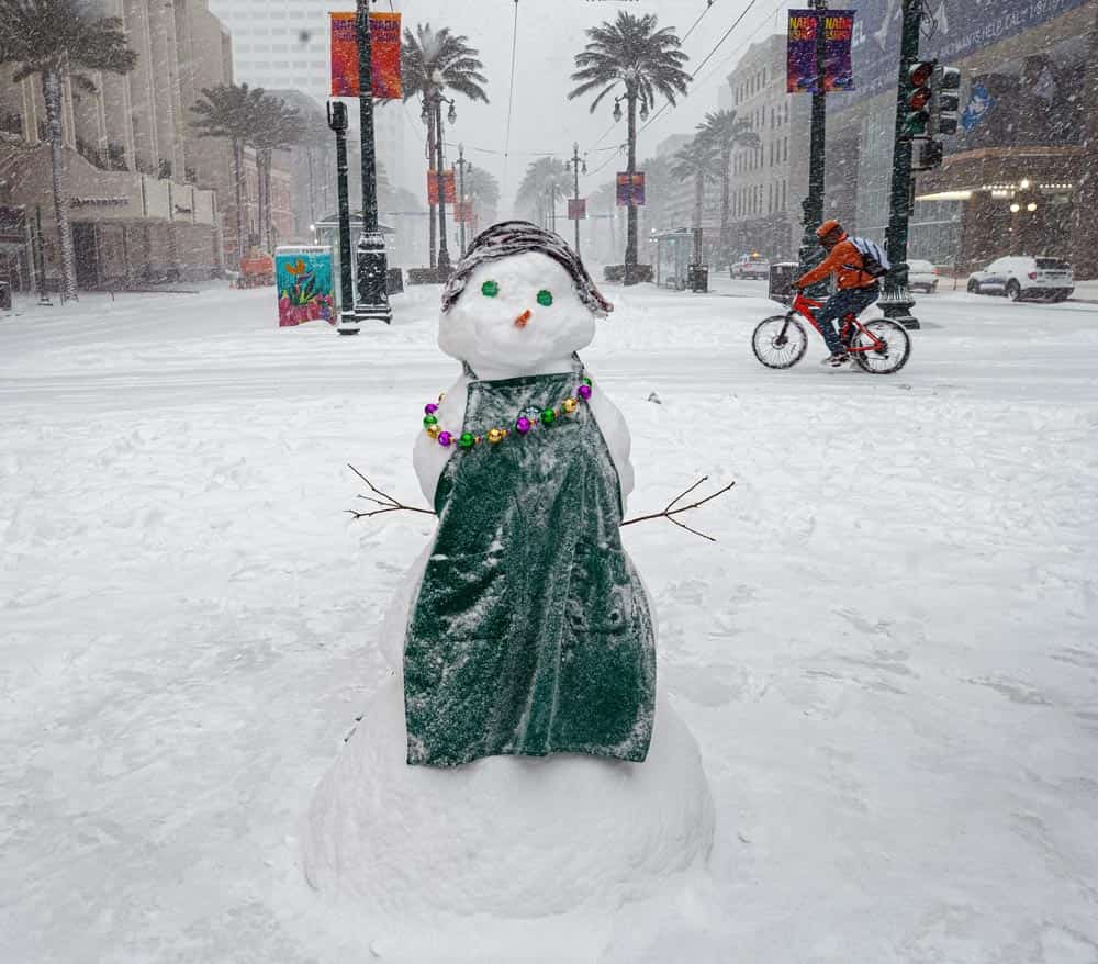 So Much Snow! A Joyous Celebration of the 2025 Louisiana Snowstorm - Additional Book View 8
