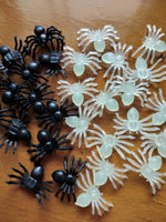 Halloween plastic spider - Cindi Book
