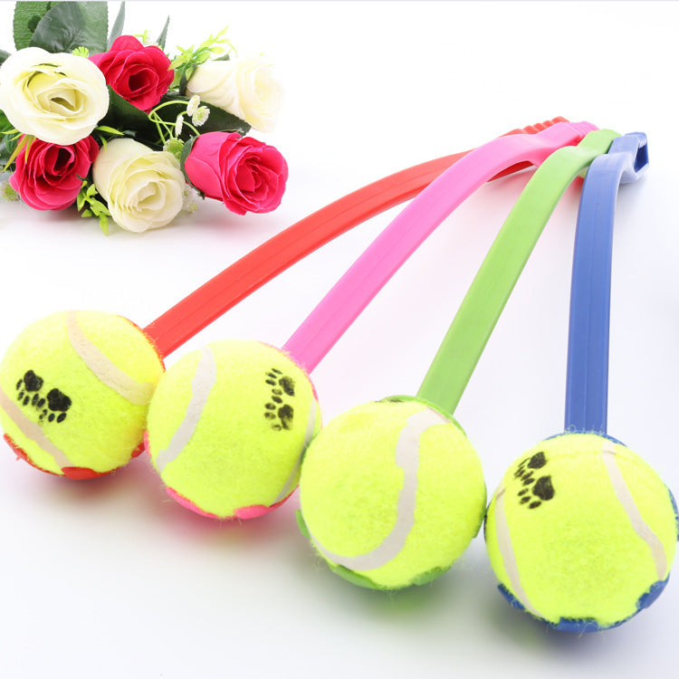 Dog throwing ball - Cindi Book