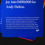 Buffalo Football RallyCards - Additional Product View 11