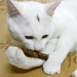 5 PCSMatatabi Toys  Catnip  Chew Toy for Pet Kitten - Cindi Book