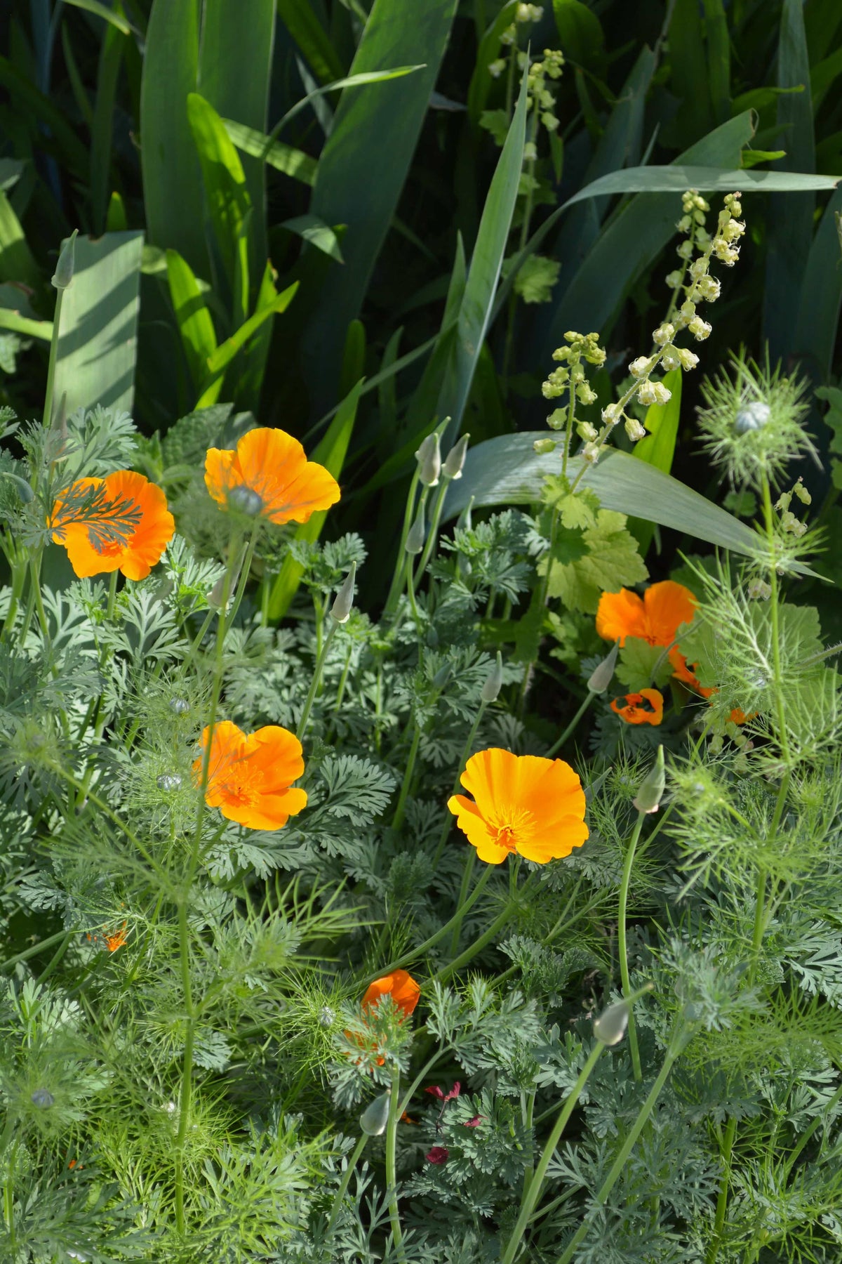 Peace, Love and Gardening: Understanding Pacific Northwest Gardens and Do-It-Yourself Projects to Beautify Them – From the Best of the Pecks Columns - Additional Book View 14