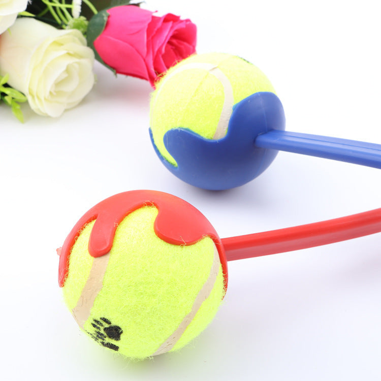 Dog throwing ball - Cindi Book