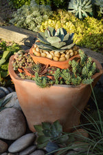 Peace, Love and Gardening: Understanding Pacific Northwest Gardens and Do-It-Yourself Projects to Beautify Them – From the Best of the Pecks Columns - Additional Book View 15