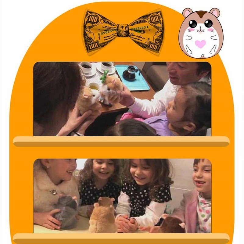 15CM Little Talking Hamster Toy - Cindi Book