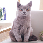 Simulation cat pillow cute cat doll plush toy stereo pet doll - Cindi Book