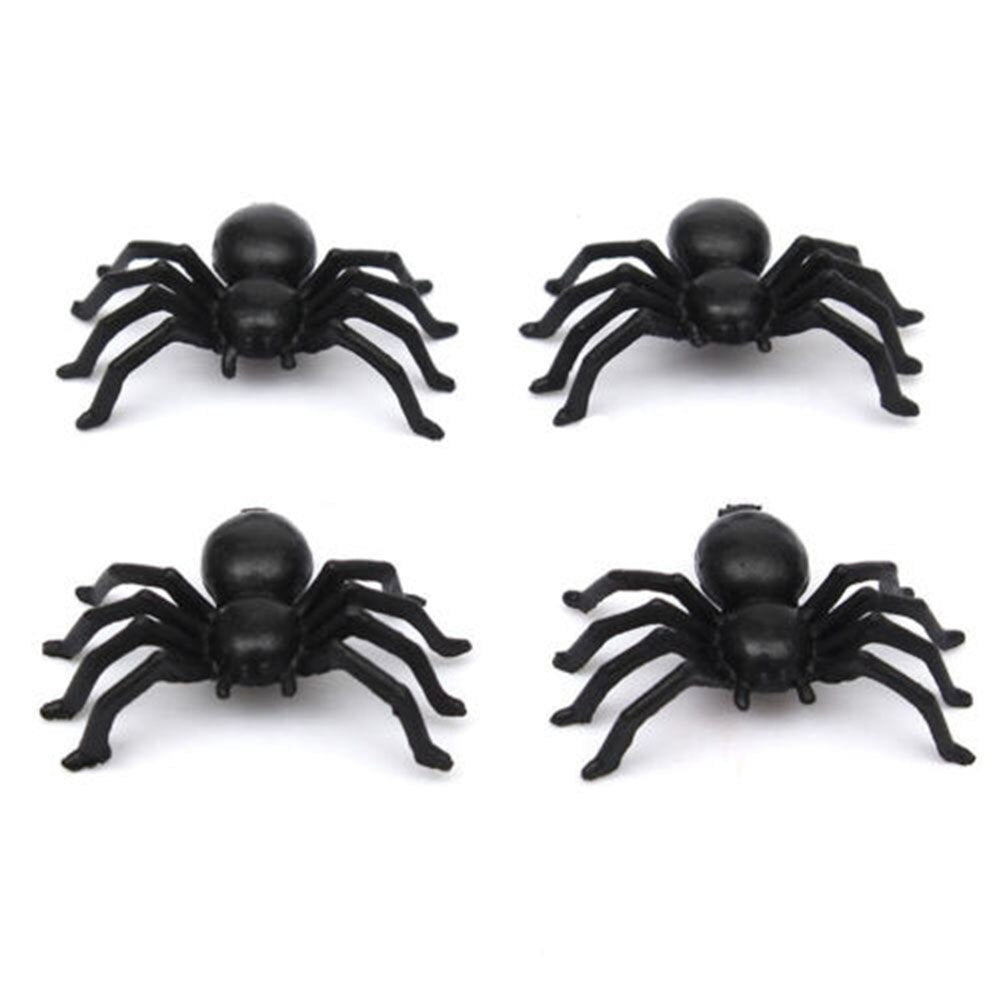 Halloween plastic spider - Cindi Book