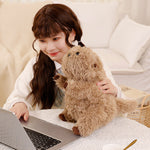 Cute Seel Doll Plush Toys Soothing Pillow Ragdoll - Cindi Book
