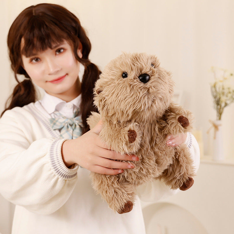 Cute Seel Doll Plush Toys Soothing Pillow Ragdoll - Cindi Book
