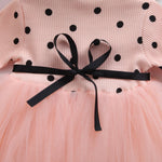 Baby Girls Spring Winter Long Sleeve Tutu Lace Dresses Infantil Newborn 1st Birthday Party Clothes Christening Gown Casual Wear - Cindi Book