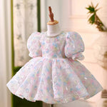 Princess Dress Light Luxury Minority High-end Flower Birthday Host Pettiskirt - Cindi Book