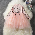 Baby Girls Spring Winter Long Sleeve Tutu Lace Dresses Infantil Newborn 1st Birthday Party Clothes Christening Gown Casual Wear - Cindi Book