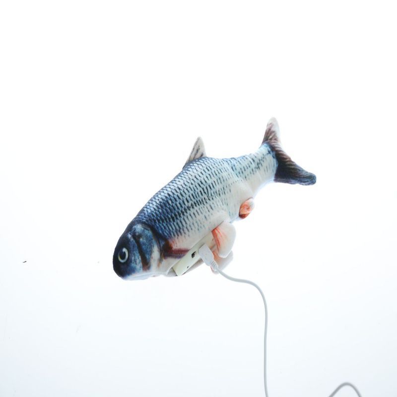 Electric Funny Cat Simulation Fish Beating Usb Jumping Cat Toy - Cindi Book