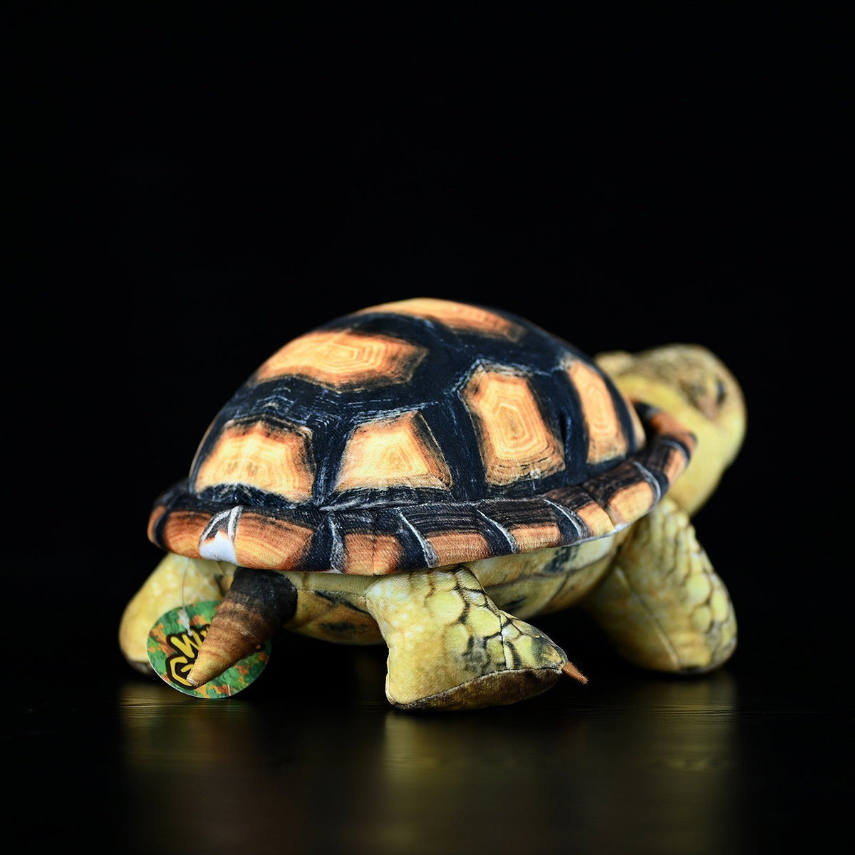 Simulated Land Turtle Doll Cute Turtle Doll Plush Toy - Cindi Book
