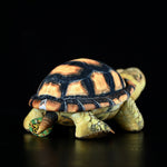 Simulated Land Turtle Doll Cute Turtle Doll Plush Toy - Cindi Book