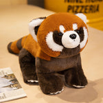 Coati Doll Plush Toys Cute - Cindi Book