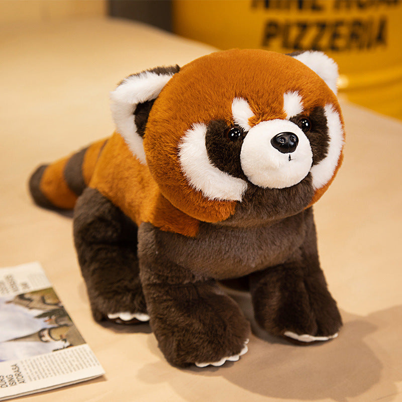 Coati Doll Plush Toys Cute - Cindi Book