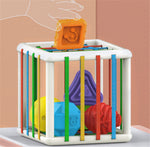Hand Training For Children, Infants And Toddlers - Cindi Book
