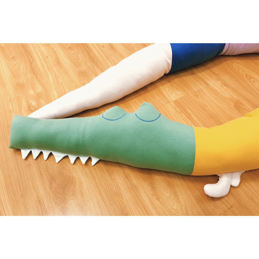 Childrens Rainbow Animal Hug Pillow - Cindi Book