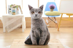 Simulation cat pillow cute cat doll plush toy stereo pet doll - Cindi Book