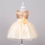 Baby Sequin Dress Flower Girl Wedding Princess Dress - Cindi Book
