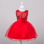 Baby Sequin Dress Flower Girl Wedding Princess Dress - Cindi Book