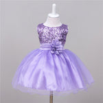 Baby Sequin Dress Flower Girl Wedding Princess Dress - Cindi Book