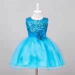 Baby Sequin Dress Flower Girl Wedding Princess Dress - Cindi Book