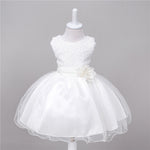 Baby Sequin Dress Flower Girl Wedding Princess Dress - Cindi Book