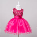 Baby Sequin Dress Flower Girl Wedding Princess Dress - Cindi Book