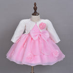 The Spring And Summer Of Years Old Female Infant Baby Child Princess Dress Girls DressPink Flower Girl Dress Skirt - Cindi Book