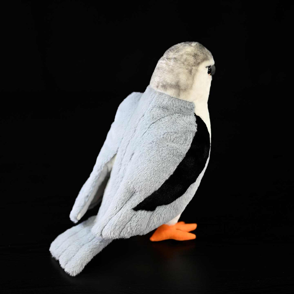 Black-winged Kite Plush Doll - Cindi Book