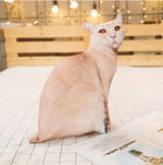 Simulation cat pillow cute cat doll plush toy stereo pet doll - Cindi Book