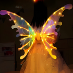 Butterfly Costume Wings