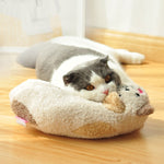 Cat Toy Pillow Shaped Funny Funny Stick Pet Supplies - Cindi Book