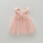 Rainbow Wings Mesh Girl Dress - Cindi Book