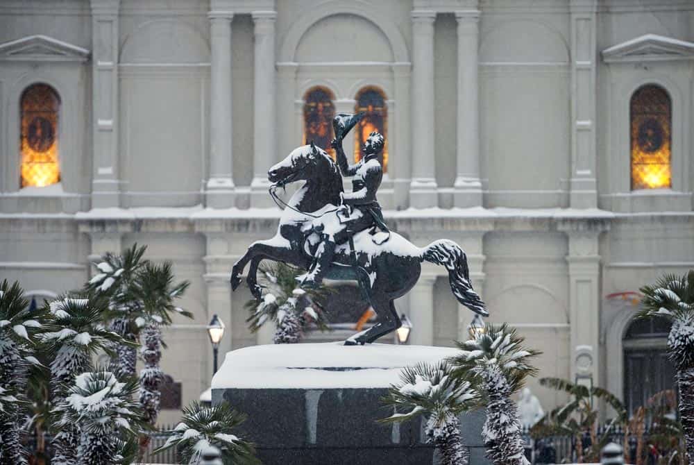 So Much Snow! A Joyous Celebration of the 2025 Louisiana Snowstorm - Additional Book View 9