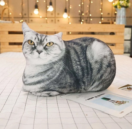 Simulation cat pillow cute cat doll plush toy stereo pet doll - Cindi Book