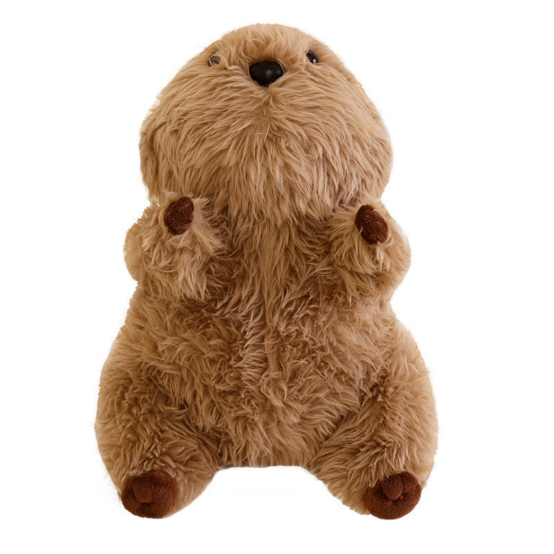 Cute Seel Doll Plush Toys Soothing Pillow Ragdoll - Cindi Book