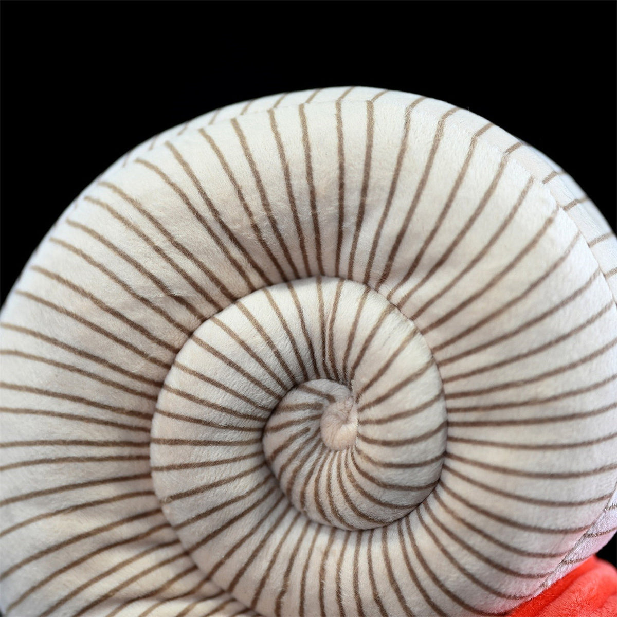 Paleontology Series Ammonite Plush Toys - Cindi Book