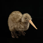 Kiwi Plush Toy New Zealand Juwei Doll - Cindi Book