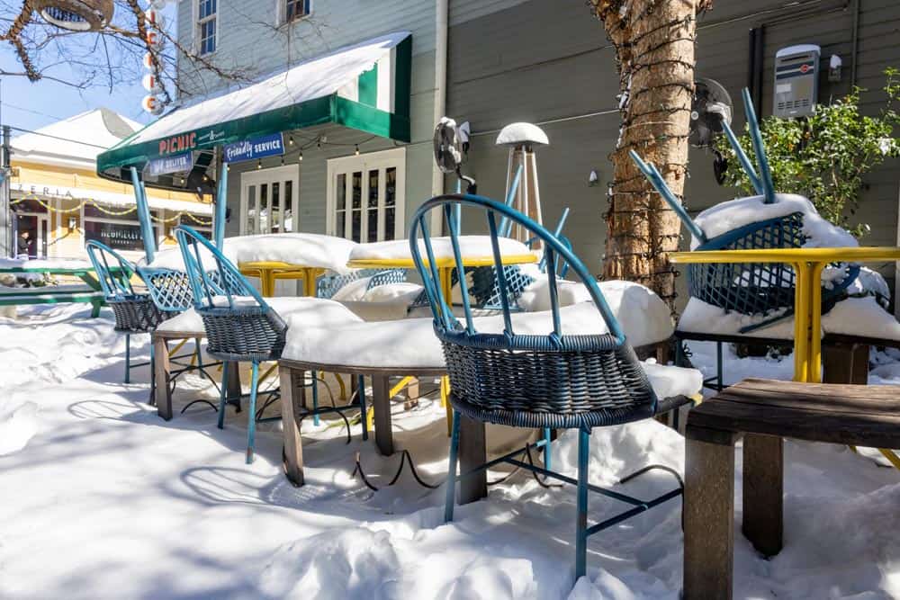 So Much Snow! A Joyous Celebration of the 2025 Louisiana Snowstorm - Additional Book View 10