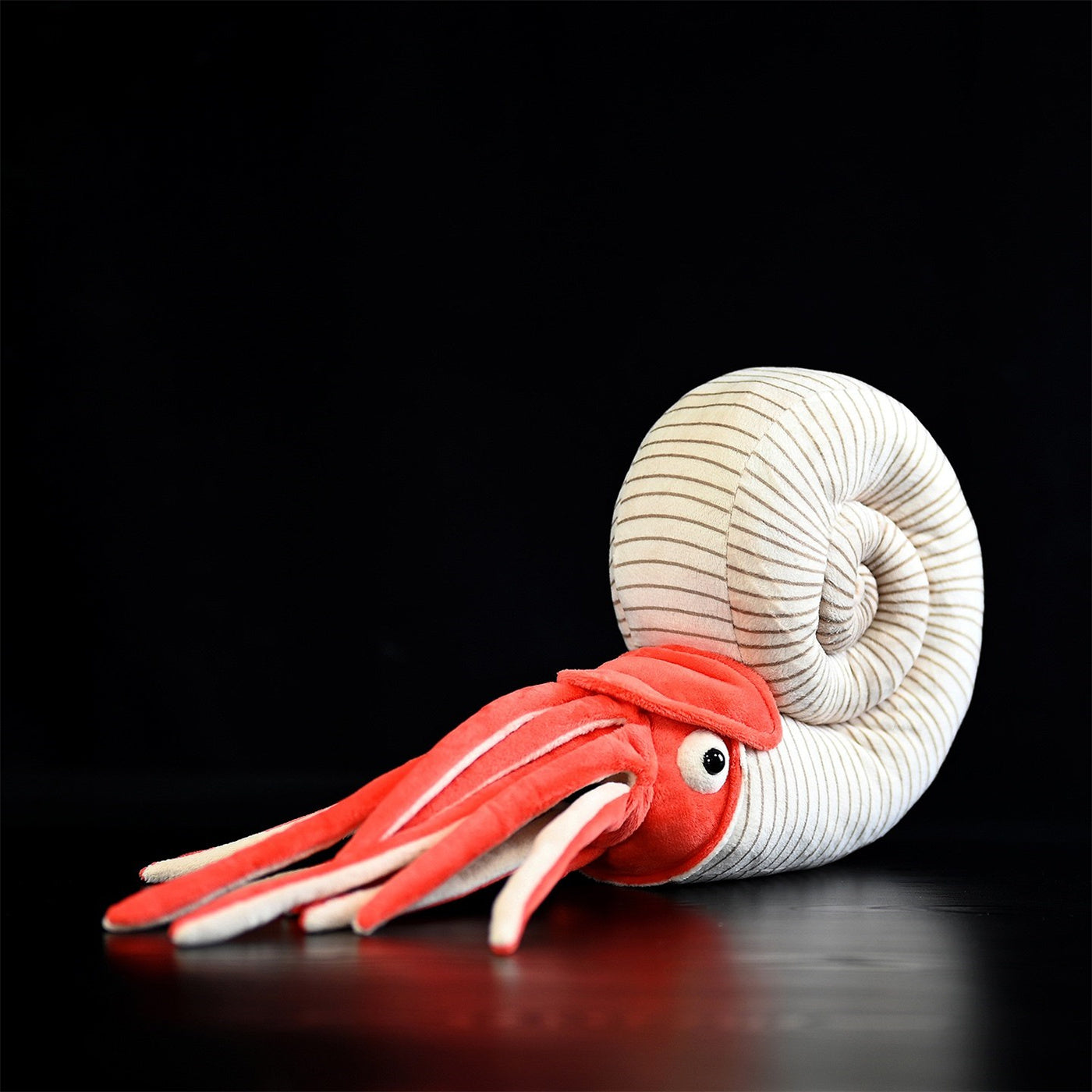 Paleontology Series Ammonite Plush Toys - Cindi Book