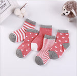 Autumn winter new Korean Edition lovable child socks, whole cotton, baby socks, baby socks and baby socks wholesales - Cindi Book